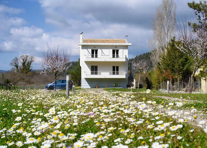 Aliki's Luxury With View, Pet Friendly! * Vátos