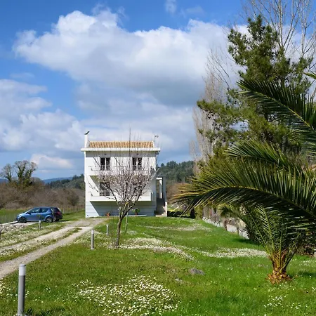 Aliki's Luxury With View, Pet Friendly! דירה *
