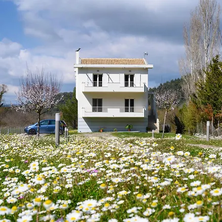 Aliki's Luxury With View, Pet Friendly! * Vátos